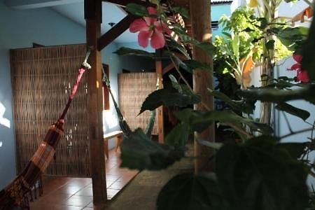 Pousada Itaoca Itacaré Eksteriør bilde